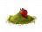 Bild 7 von 8