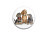Bild 4 von 5